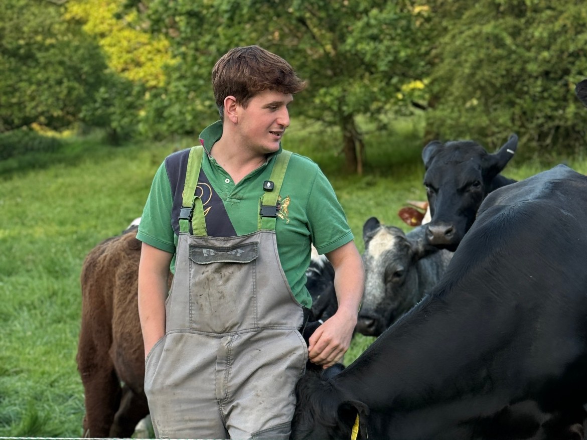 Cattle welfare on the farm