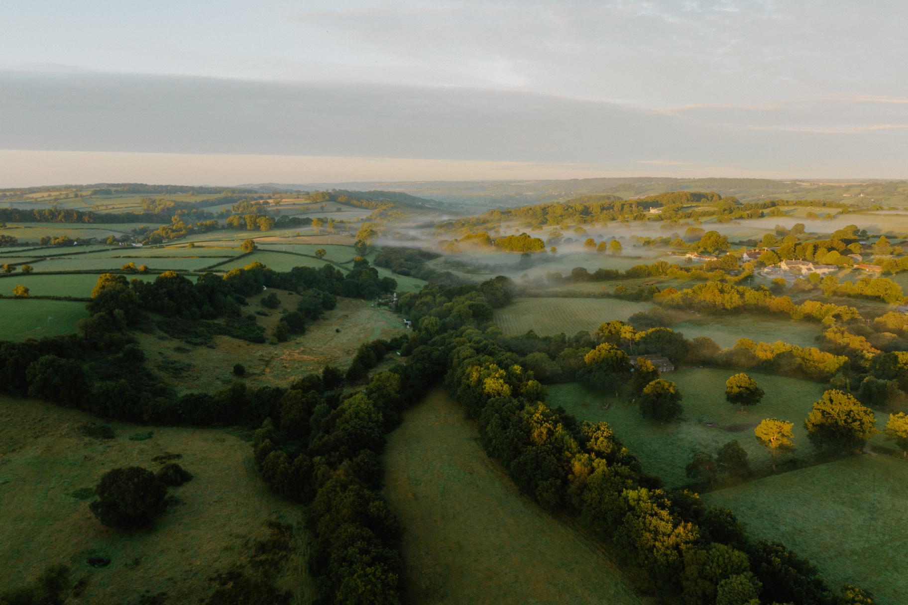 Lush Blackdown Hills pasture
